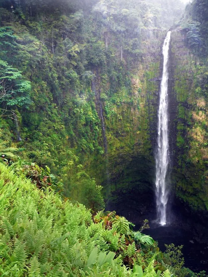Hale Ola Aina home Keaau 0*,  Stati Uniti
